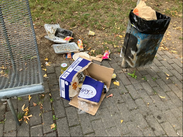 Verdercktes Neckarufer