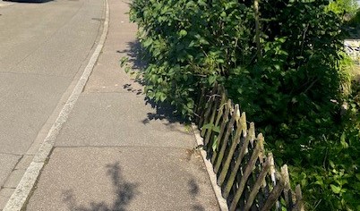 Behinderung des Gehweges durch wuchernde Hecken Behinderung des Gehweges durch wuchernde Hecken